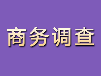 武鸣商务调查